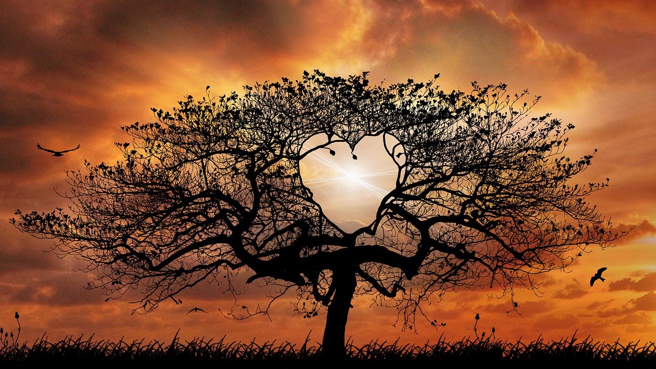 tree-7180149_1280-pixabay