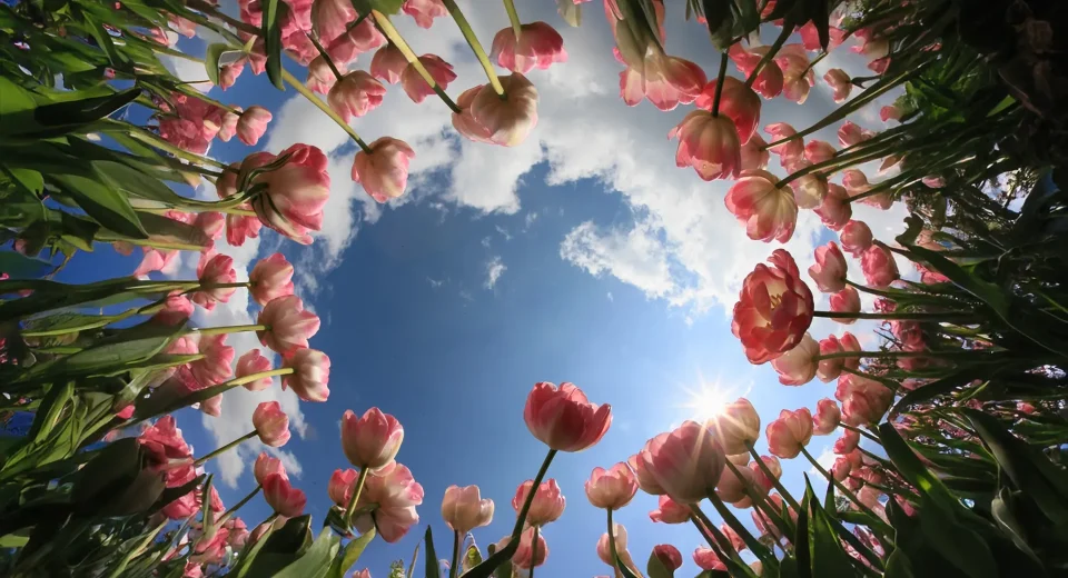 ÖNLEM ALMAK DA BİR İBADETTİR