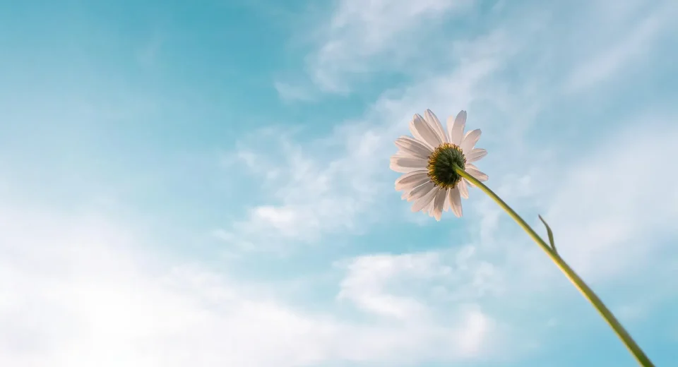 UMUT OLUMLAMALARI: ZOR GÜNLERDE KENDİMİZE HATIRLATMAMIZ GEREKENLER