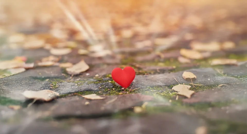 BU DÜNYA BİZE BİR ŞEYLERİ ÇOK MU GÖRÜYOR?