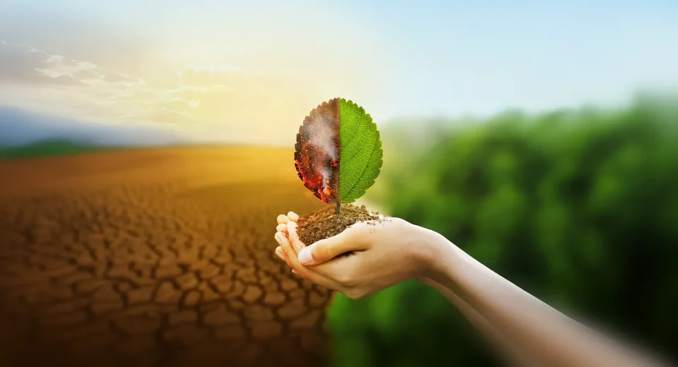 Geleceğimiz İpotek Altında: Paris İklim Anlaşması ve İklim Kanunu'na Dair Endişelerim