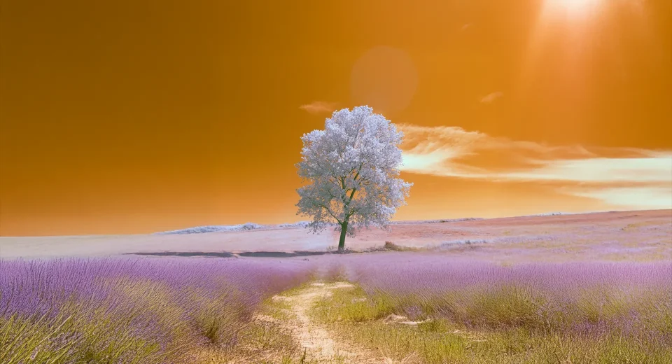 SARSILDIĞIN YERDEN YENİDEN KÖKLENMEK NASIL?