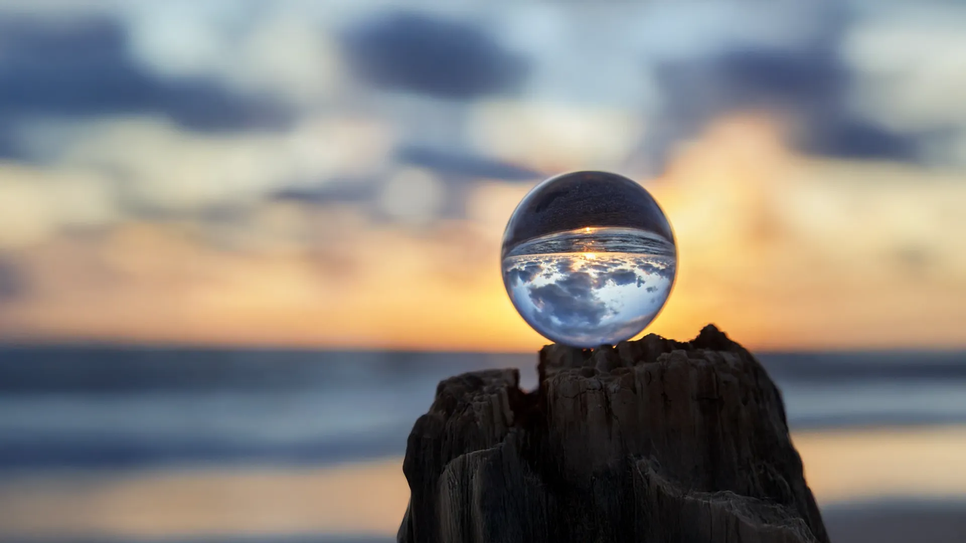 “Delulu is the Solulu”: Sosyal Medyanın Yeni Mantrası