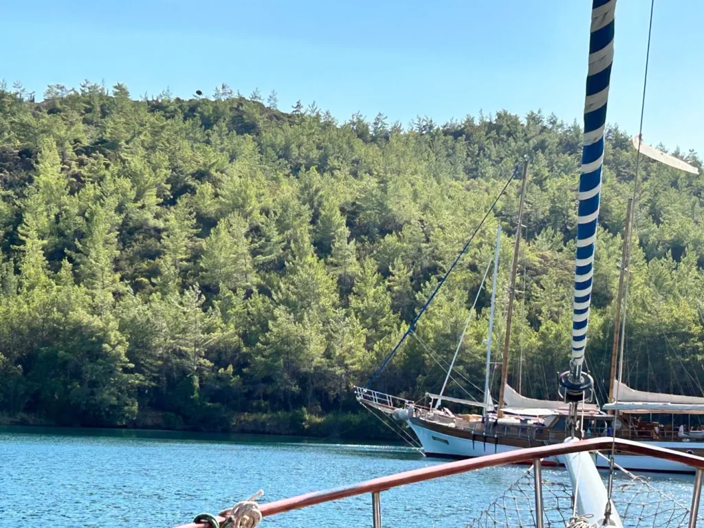 HOŞ GELDİM KENDİME