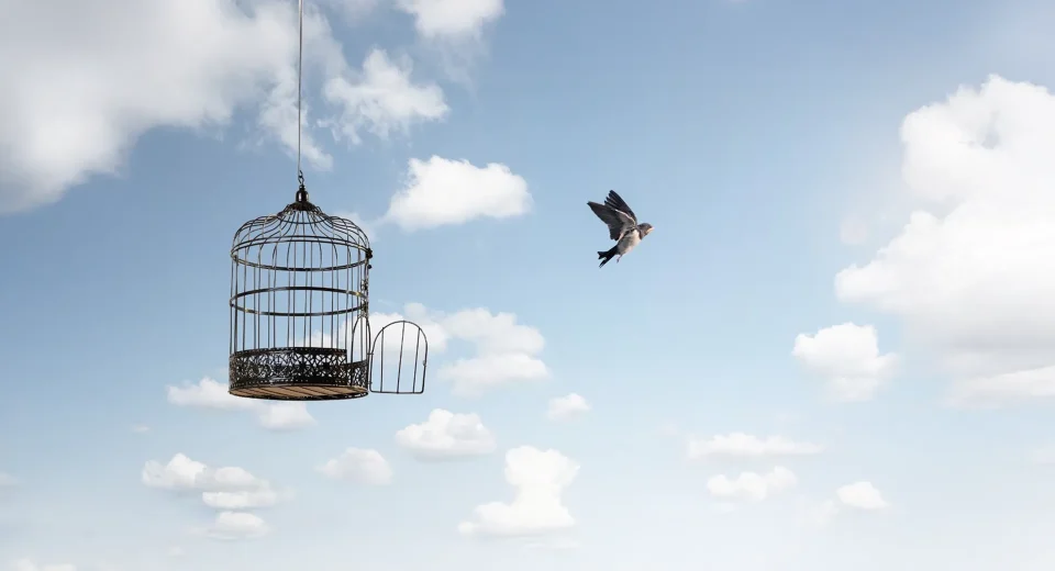 TUTUNMAYI BIRAKAN ÖZGÜRLEŞİR