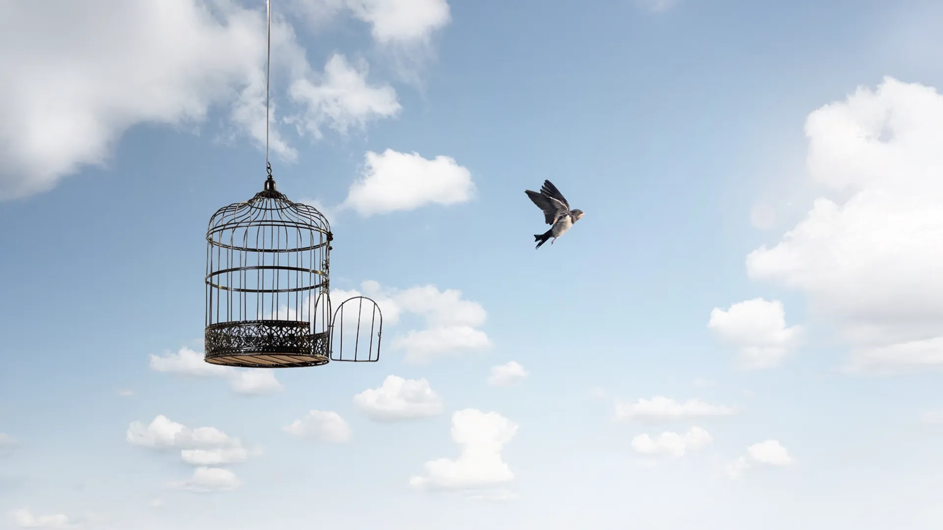 TUTUNMAYI BIRAKAN ÖZGÜRLEŞİR