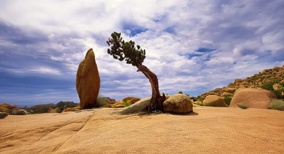 Bilmemekle Barışmanın Bilgeliği