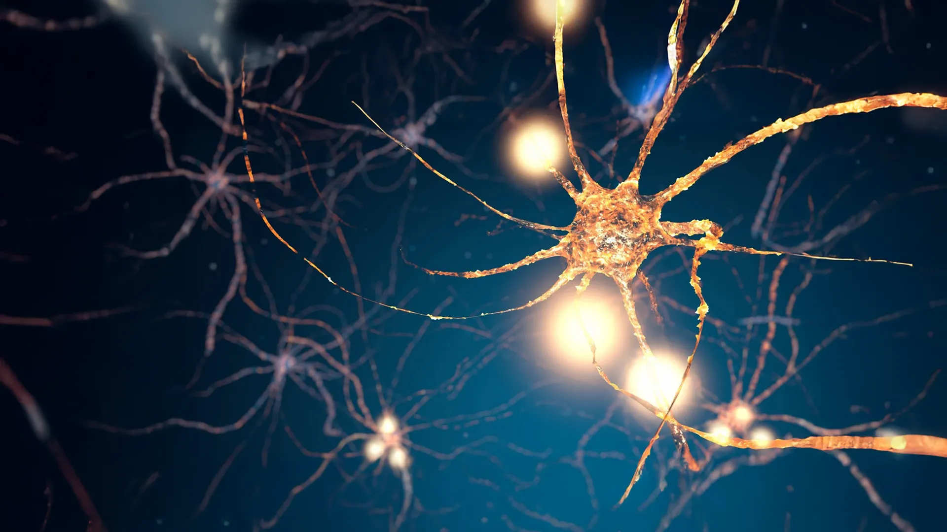 EMPATİ: AYNA NÖRONLARDAN ÖZGECİLİĞE UZANAN BİR YOLCULUK