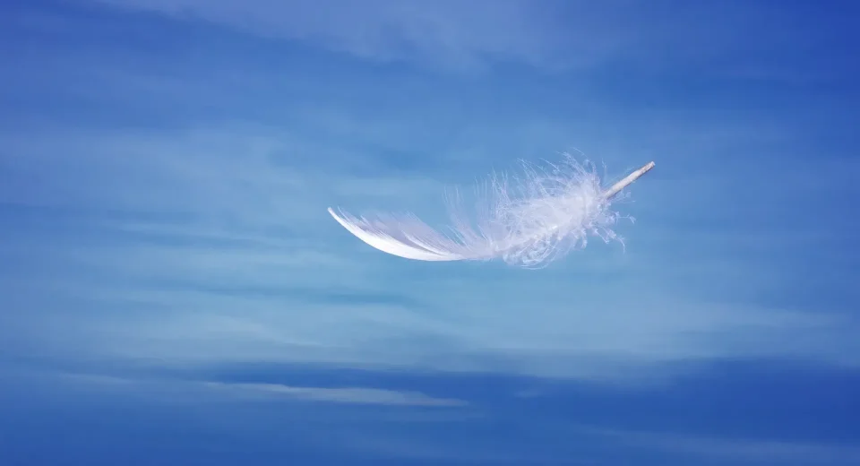 HAYATIMI KOLAYLAŞTIRAN İNSANLAR