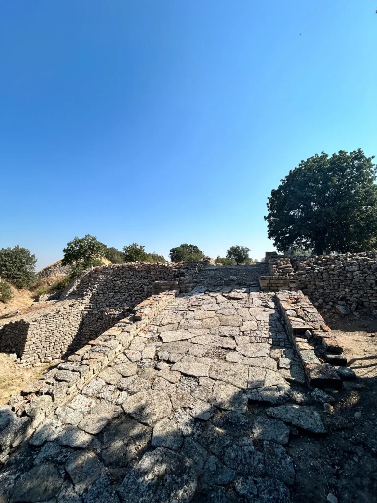 İÇİMDEKİ TRUVA ATI