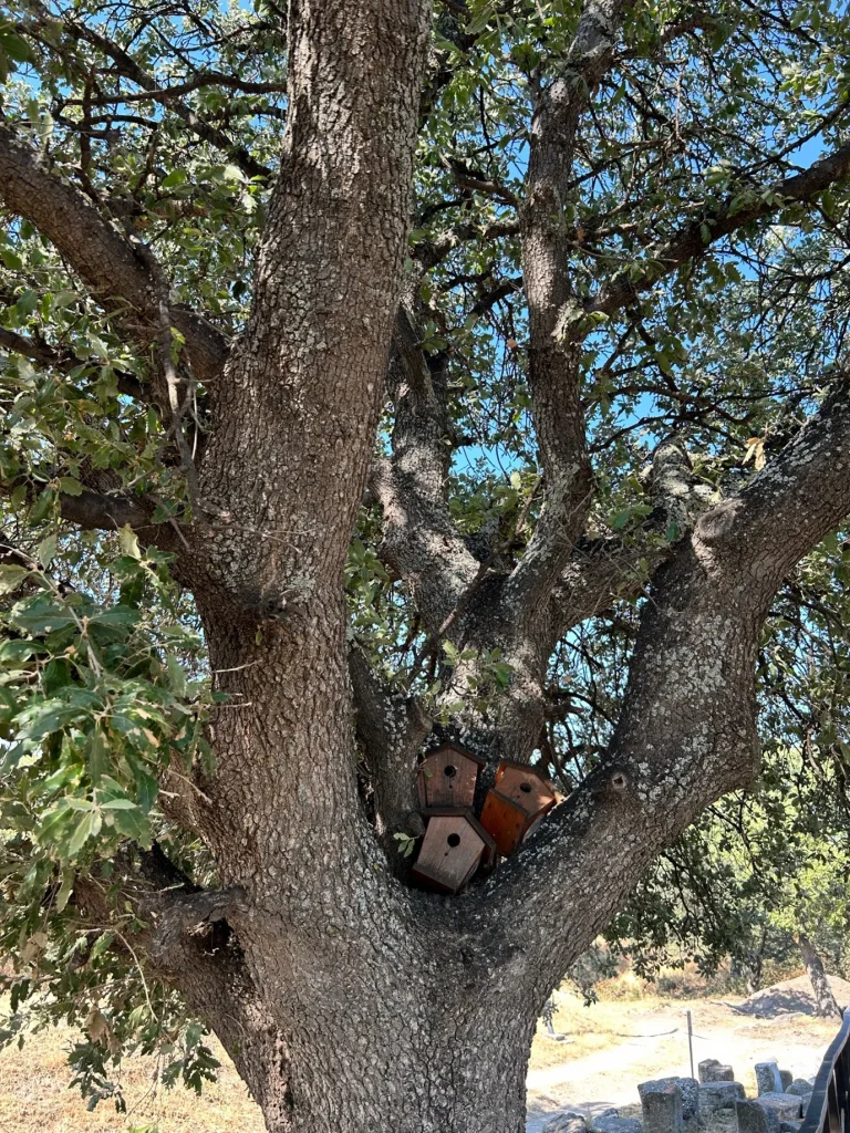 İÇİMDEKİ TRUVA ATI