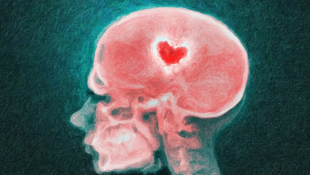 BİLİMİN GÖZÜNDEN KALP–BEYİN BAĞLANTISI