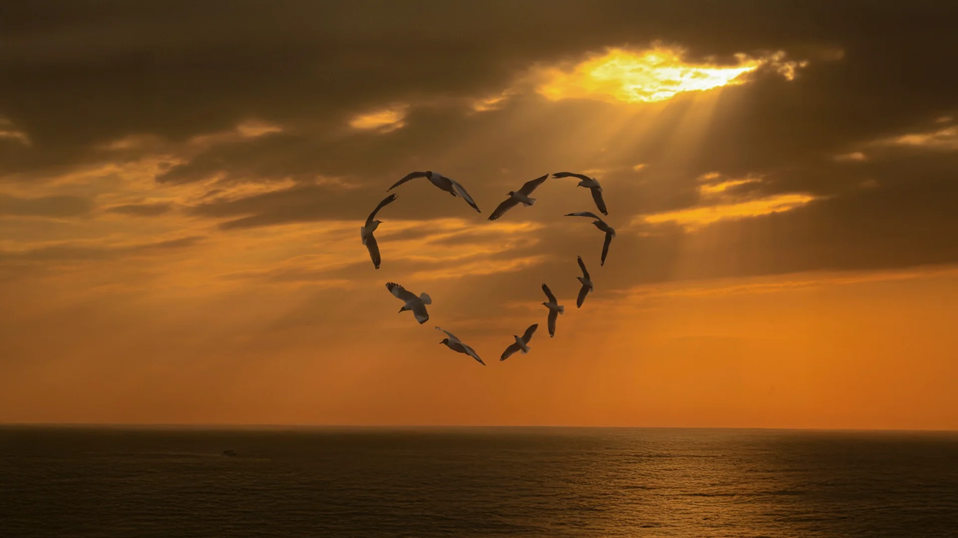 Bilim ve Maneviyatın Aynı Hakikatin İki Yönüdür