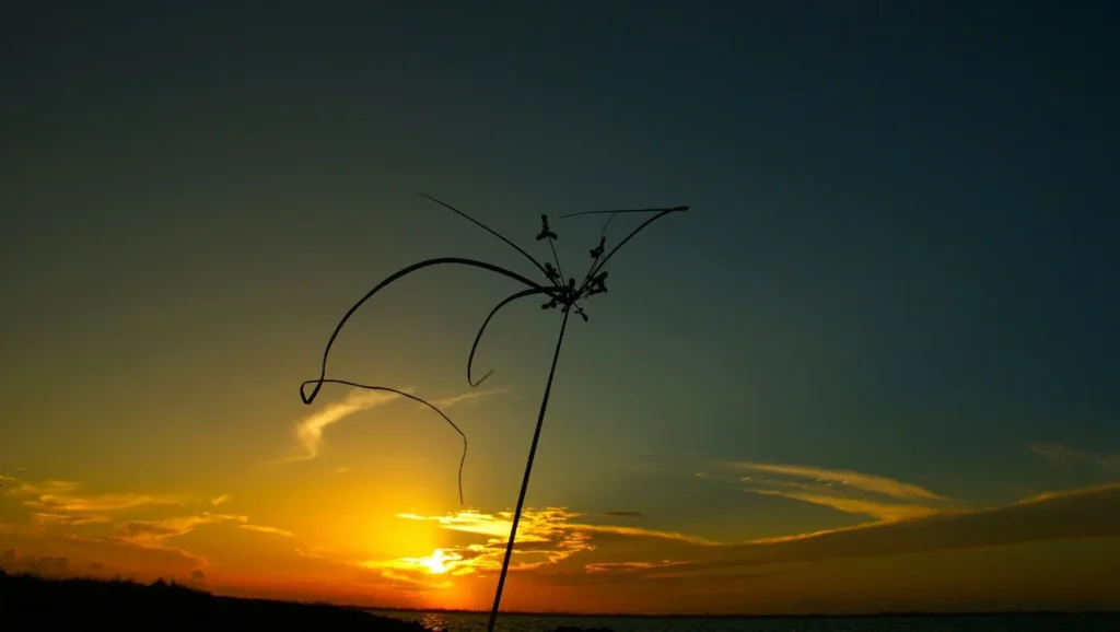 Kâinat ve Tefekkür