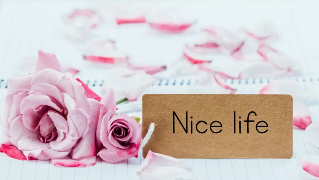 Son Hatırlatma: Merhamet Sınır Bilir, Şefkat Bilinçle Akarsa İyileştirir