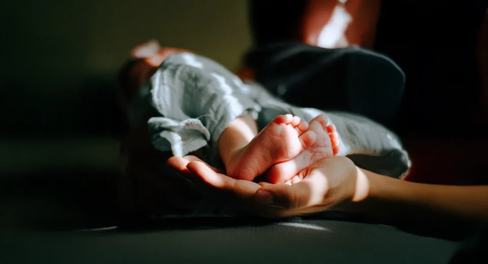 Hepimiz yalnız doğmuş ikizleriz! Aile Dizimi’nden doğan Freni Metodu ilk kez Türkiye’de