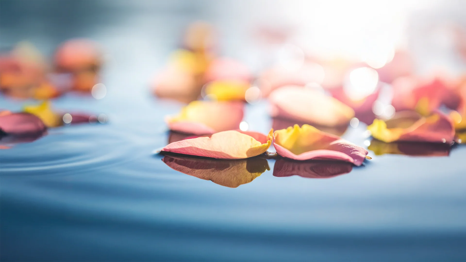 Bütünlükle Yaşamak: Zihin, Beden, Kalp ve Ruhun Uyumunu Hatırlamak