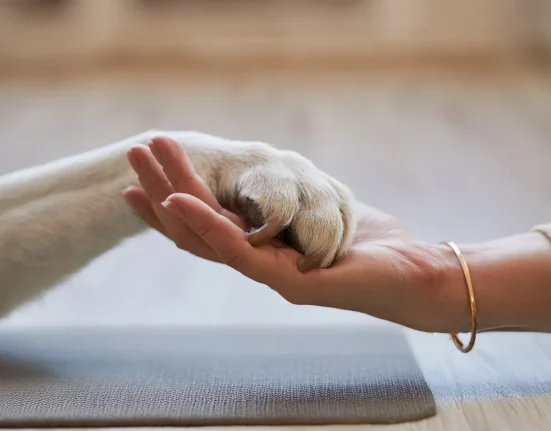 EVCİL HAYVANIM DEĞİL KİŞİSEL TERAPİSTİM DİYECEKSİNİZ